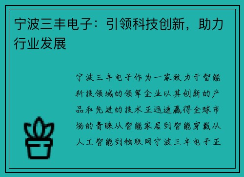 宁波三丰电子:引领科技创新,助力行业发展